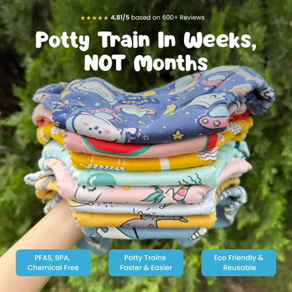 Potty Training Underwear